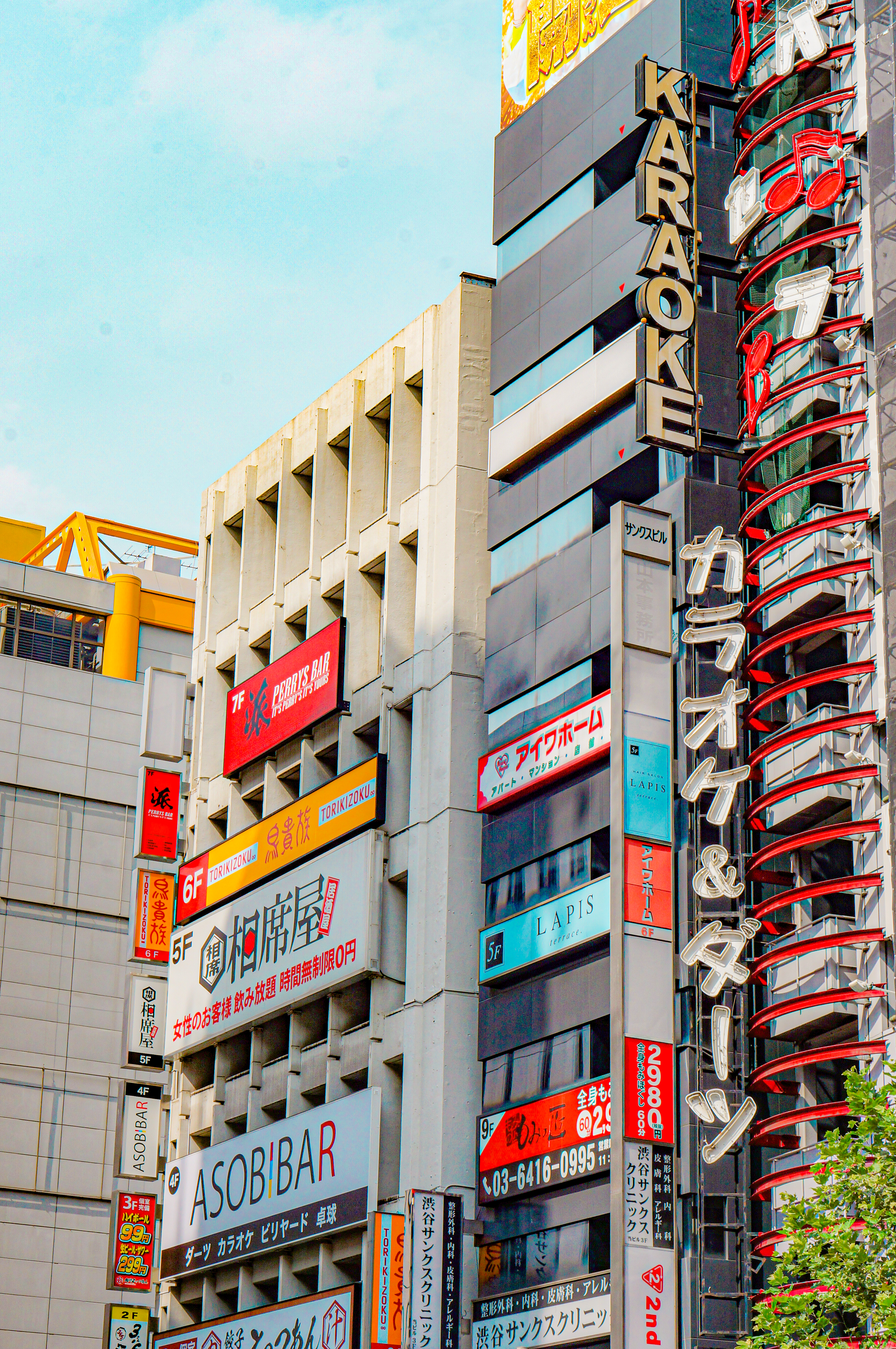 photo-chanpignon-Blancs